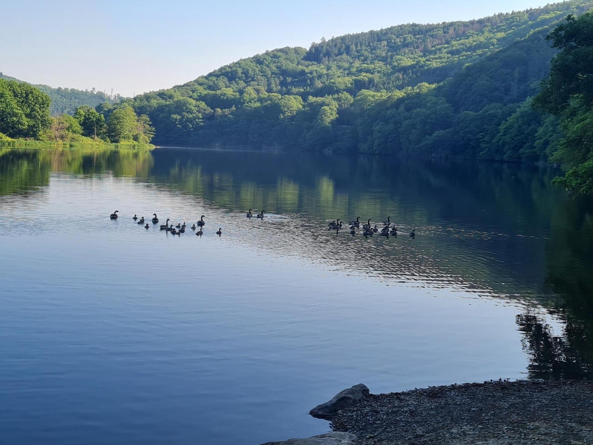 Ferienwohnung Am Rursee Simmerath Kültér fotó